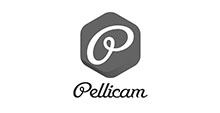 Logo Pellicam